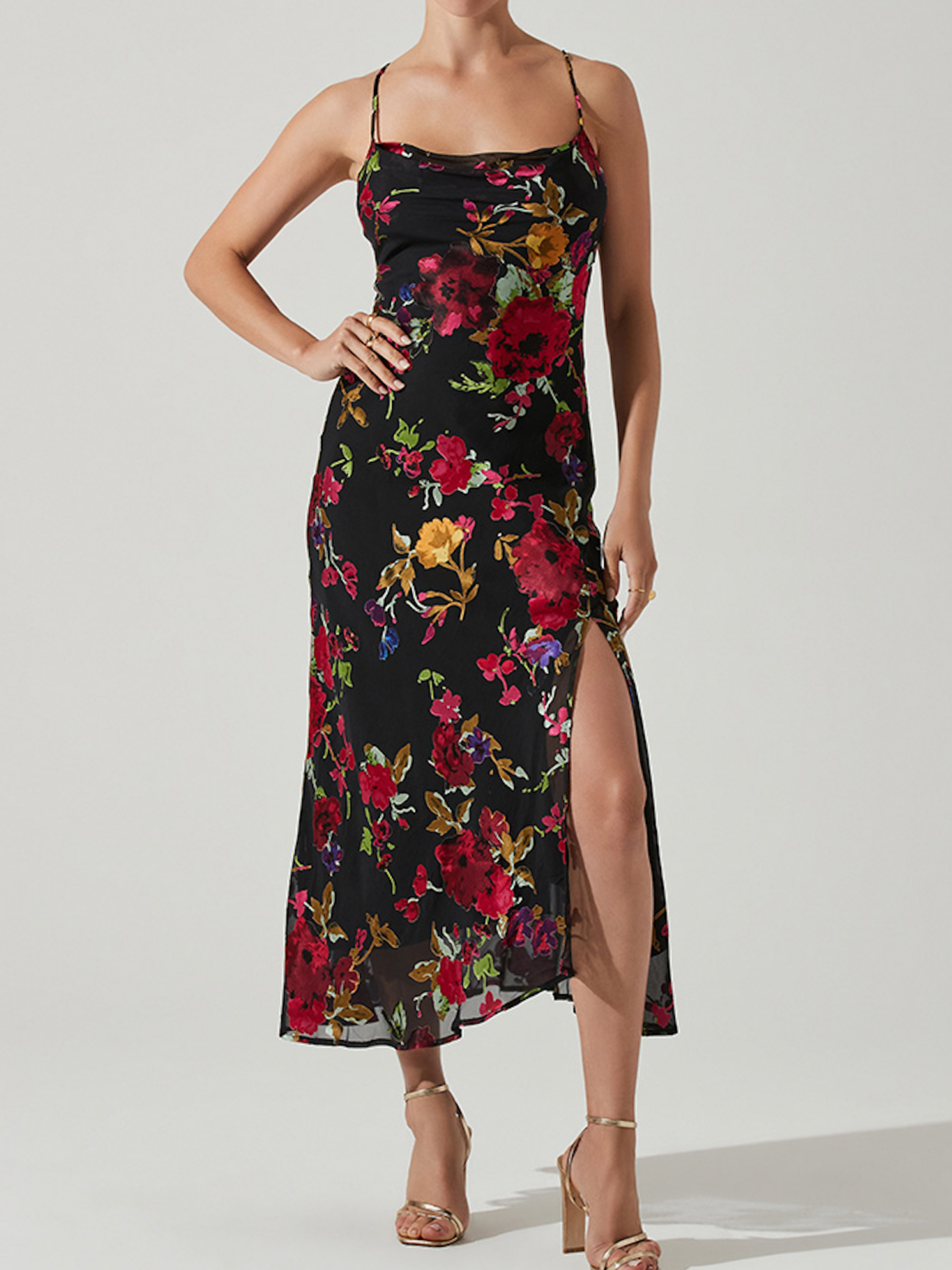 ASTR - Gaia Floral Burnout Midi Dress