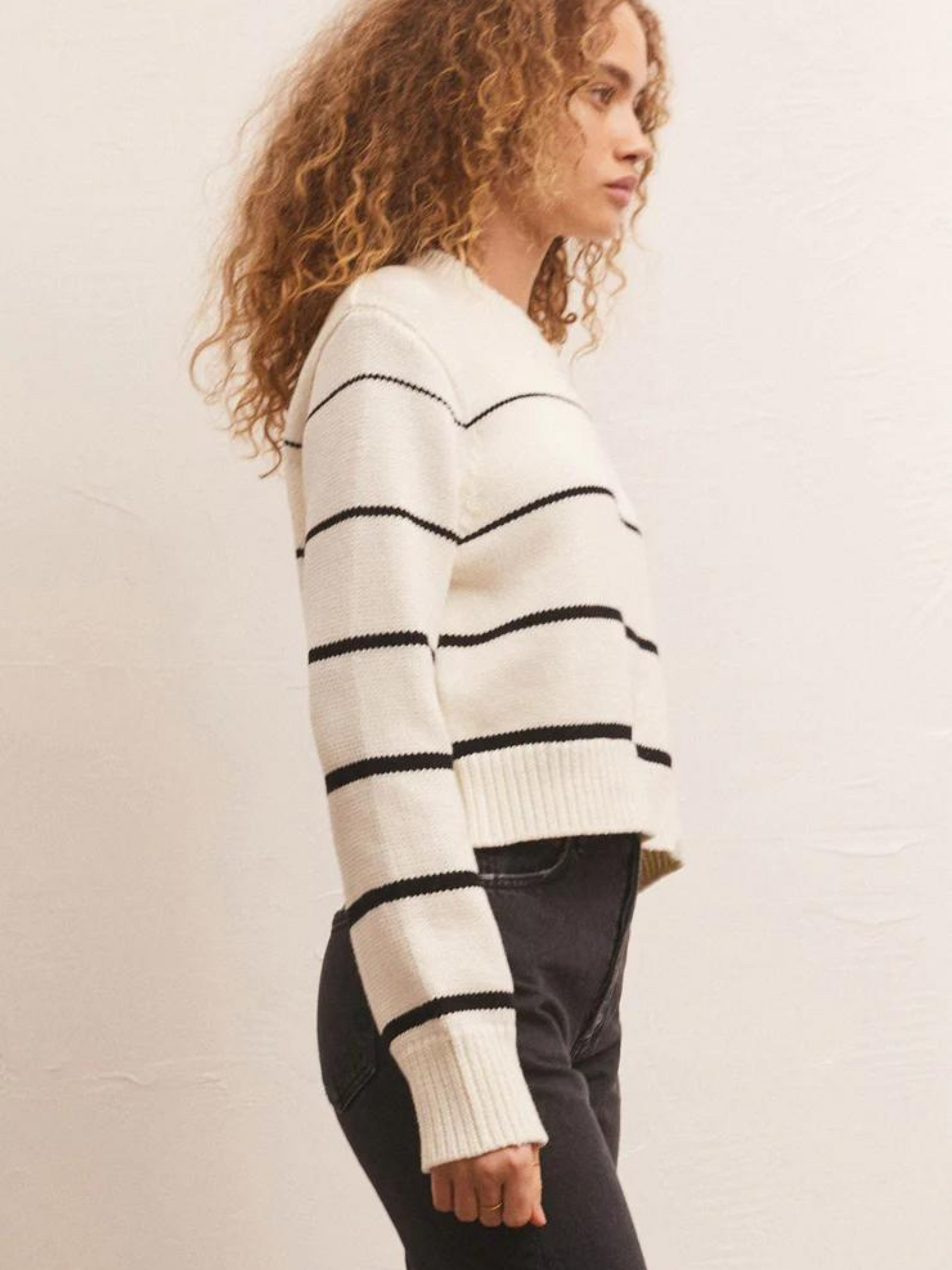 Z Supply - Milan Stripe Sweater